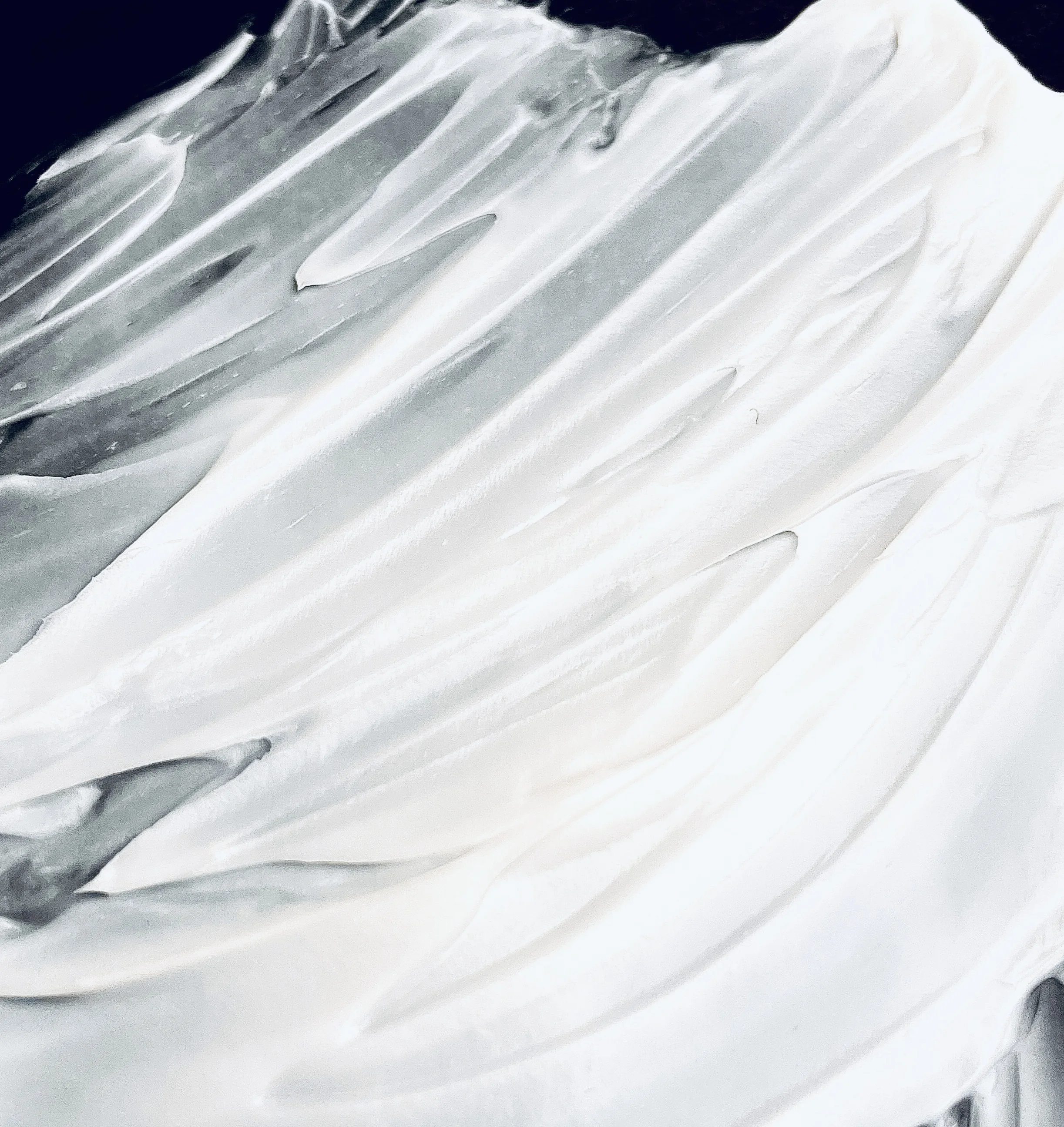 Placeholder image for the FINT story section