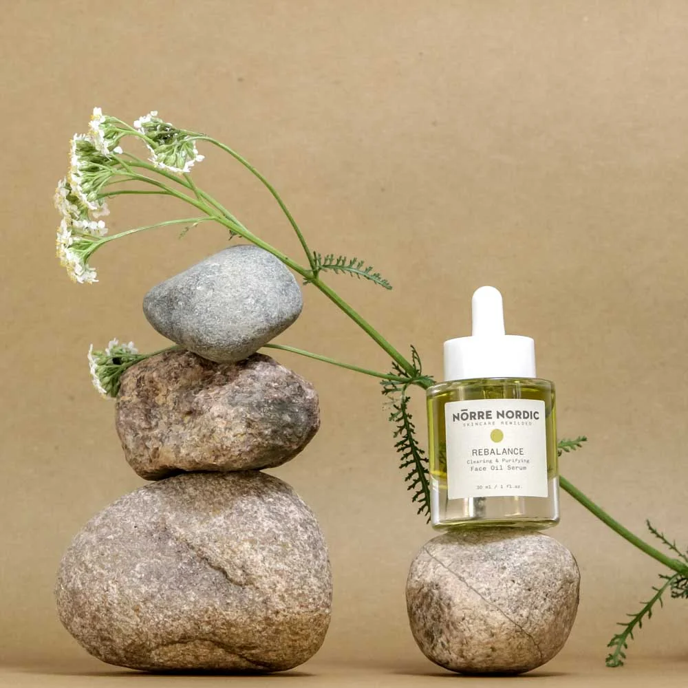 Textured still life of natural skincare ingredients